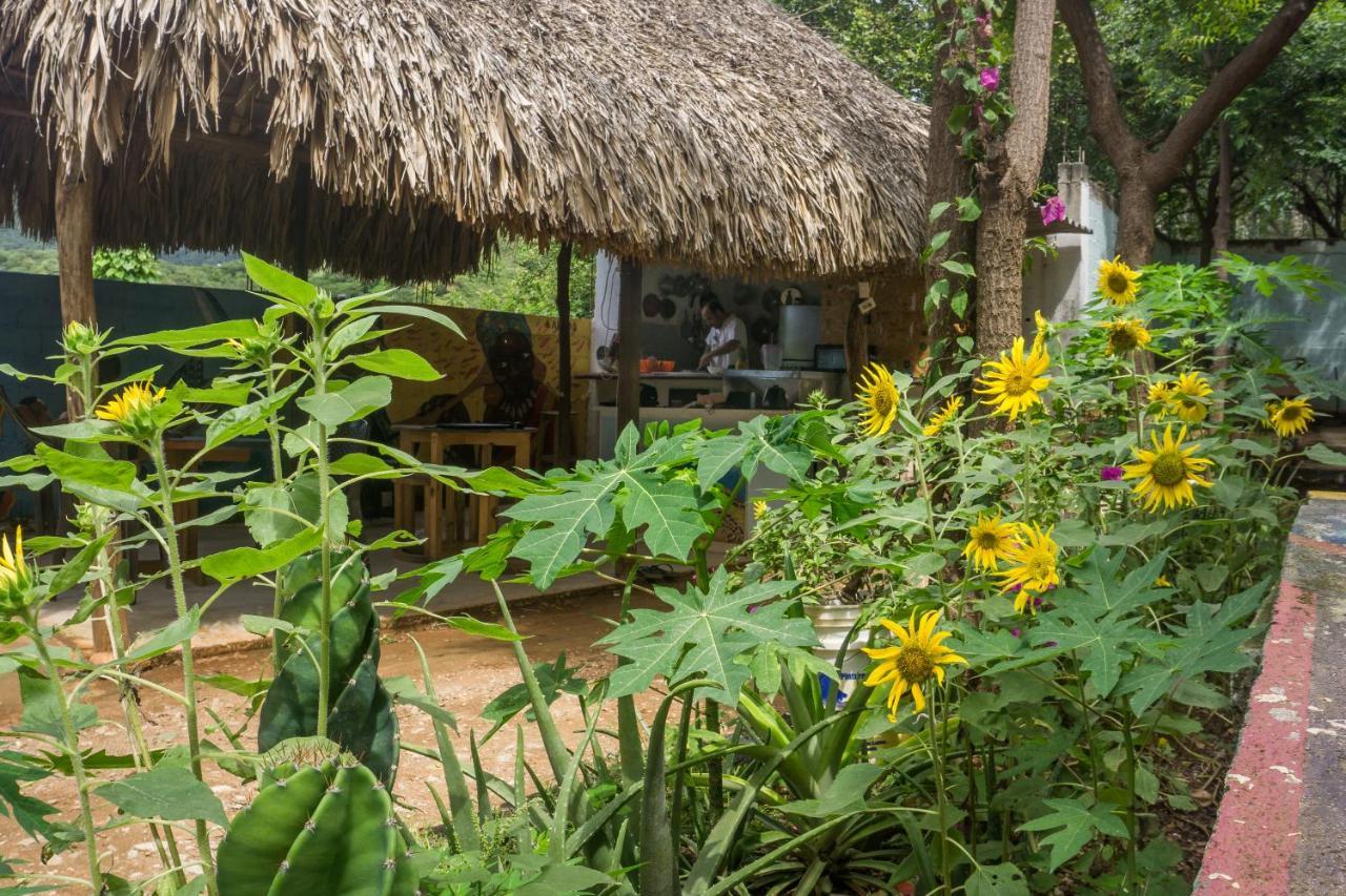Hostel Hipilandia Taganga Esterno foto